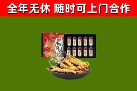 方山回收冬虫夏草价格